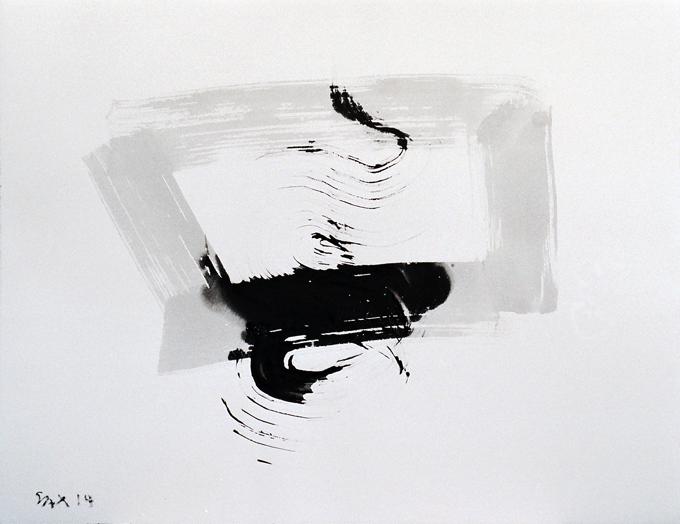 5-2014 volante 51x66 chf 2000.jpg